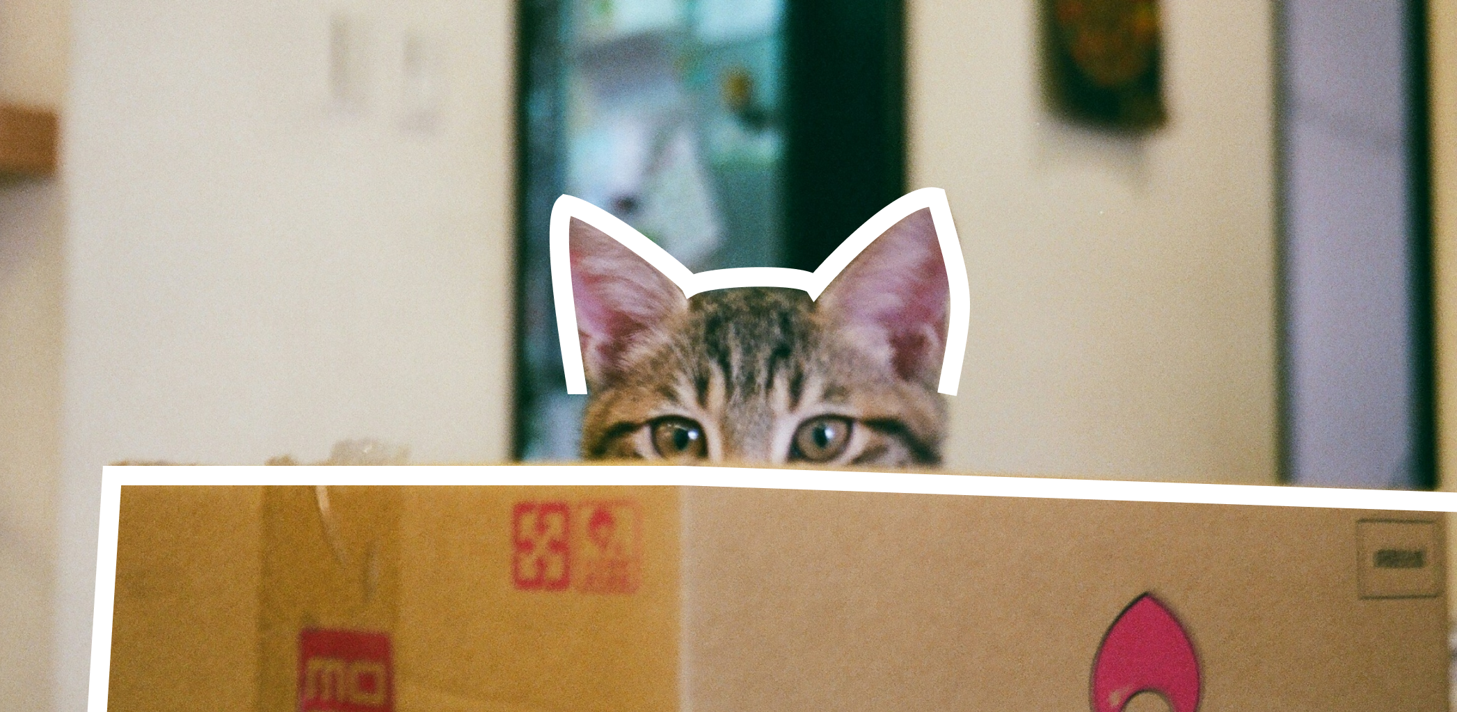 Иллюстрация к статье - Как подсчитать в России налог на наследство в 2025 году Как подсчитать в России налог на наследство в 2025 году